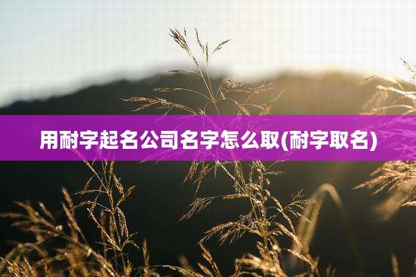 用耐字起名公司名字怎么取(耐字取名)