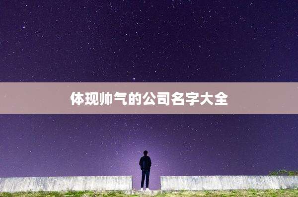 体现帅气的公司名字大全