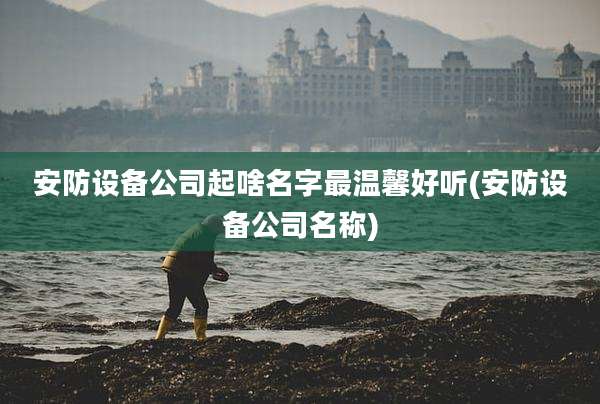 安防设备公司起啥名字最温馨好听(安防设备公司名称)