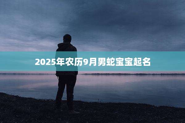 2025年农历9月男蛇宝宝起名