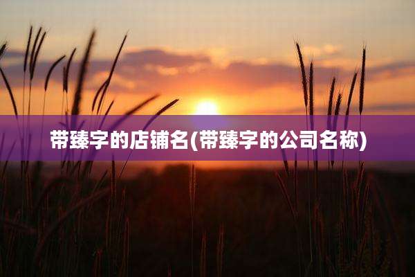 带臻字的店铺名(带臻字的公司名称)