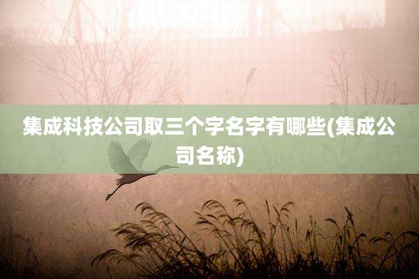 集成科技公司取三个字名字有哪些(集成公司名称)