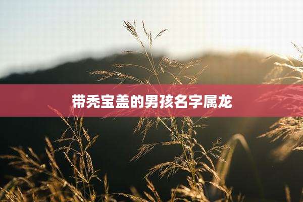 带秃宝盖的男孩名字属龙