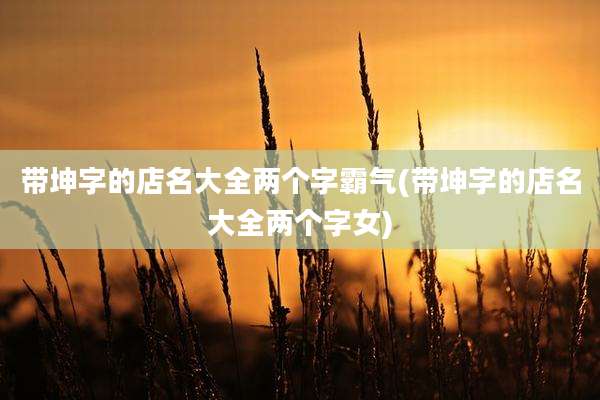 带坤字的店名大全两个字霸气(带坤字的店名大全两个字女)