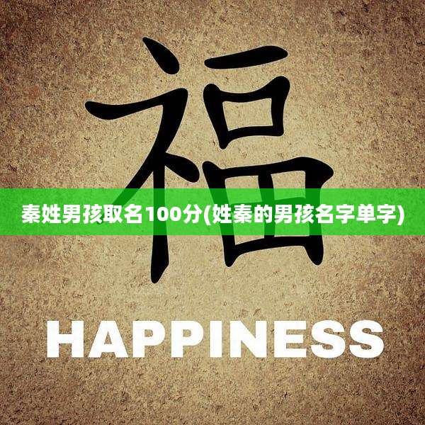 秦姓男孩取名100分(姓秦的男孩名字单字)