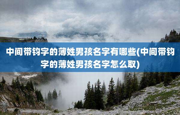 中间带钧字的薄姓男孩名字有哪些(中间带钧字的薄姓男孩名字怎么取)