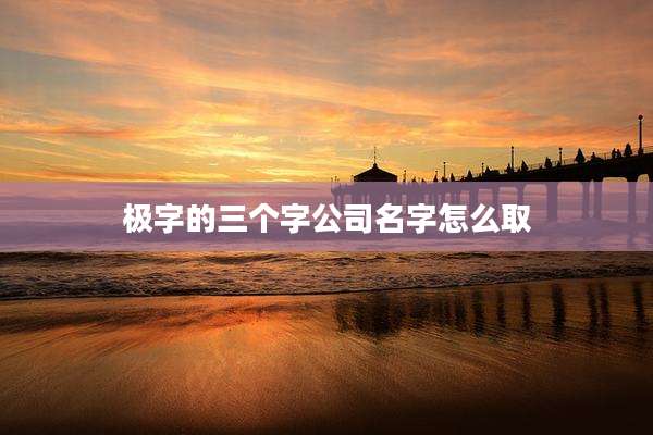 极字的三个字公司名字怎么取