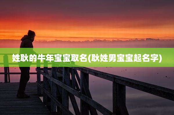 姓耿的牛年宝宝取名(耿姓男宝宝起名字)