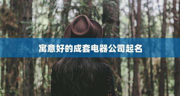 寓意好的成套电器公司起名
