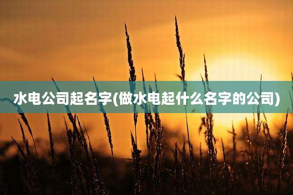 水电公司起名字(做水电起什么名字的公司)
