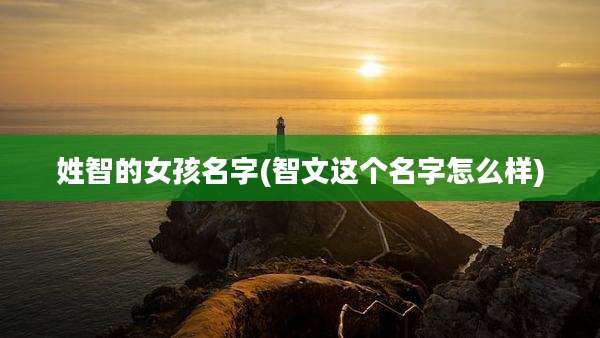 姓智的女孩名字(智文这个名字怎么样)