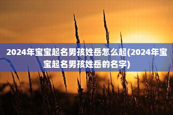 2024年宝宝起名男孩姓岳怎么起(2024年宝宝起名男孩姓岳的名字)