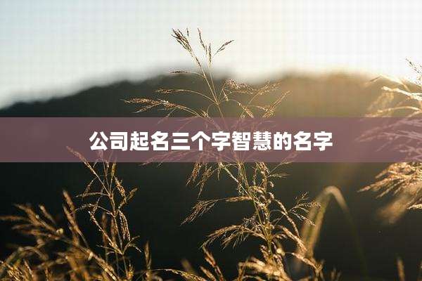 公司起名三个字智慧的名字