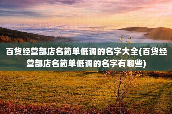 百货经营部店名简单低调的名字大全(百货经营部店名简单低调的名字有哪些)