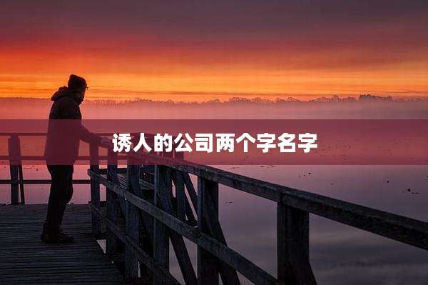诱人的公司两个字名字