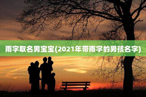 雨字取名男宝宝(2021年带雨字的男孩名字)