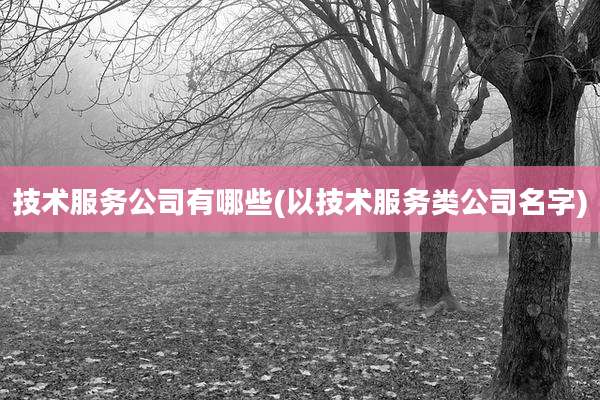 技术服务公司有哪些(以技术服务类公司名字)