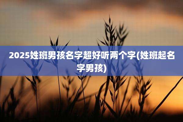 2025姓班男孩名字超好听两个字(姓班起名字男孩)