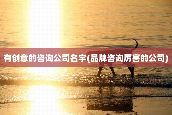 有创意的咨询公司名字(品牌咨询厉害的公司)