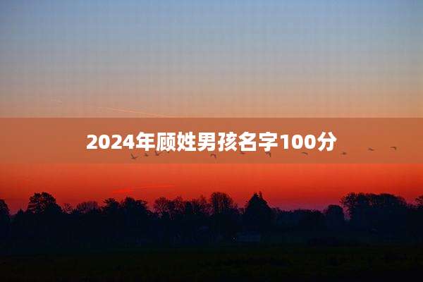 2024年顾姓男孩名字100分