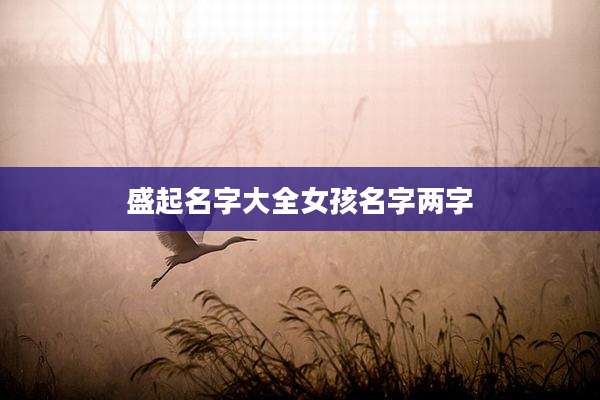 盛起名字大全女孩名字两字
