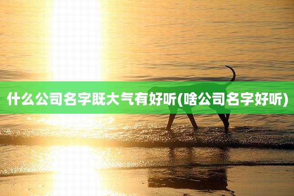 什么公司名字既大气有好听(啥公司名字好听)