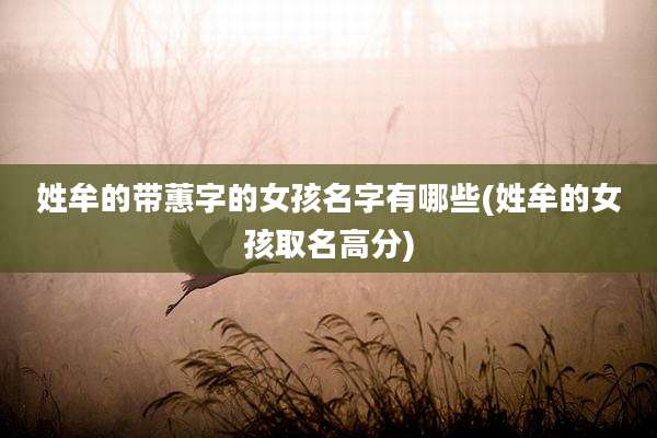 姓牟的带蕙字的女孩名字有哪些(姓牟的女孩取名高分)