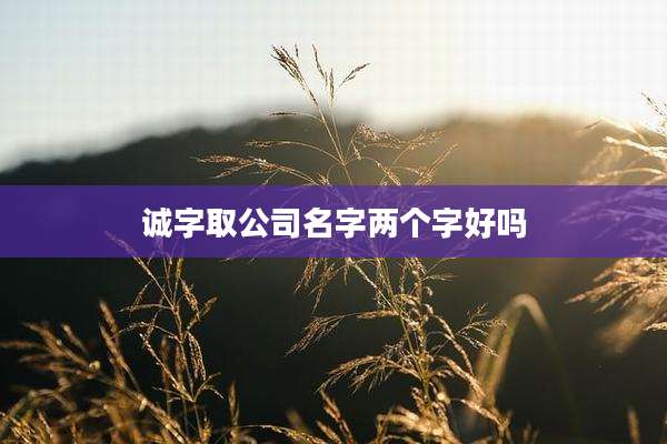 诚字取公司名字两个字好吗
