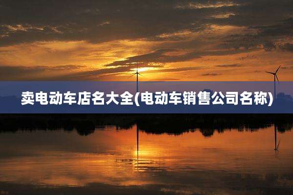 卖电动车店名大全(电动车销售公司名称)
