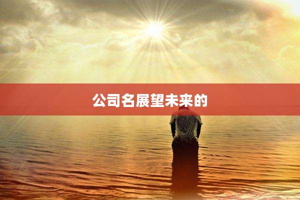 公司名展望未来的