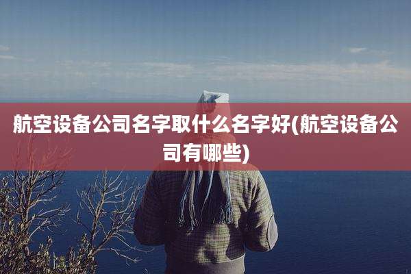 航空设备公司名字取什么名字好(航空设备公司有哪些)