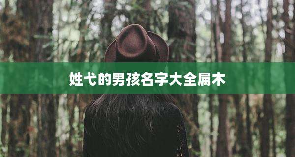 姓弋的男孩名字大全属木
