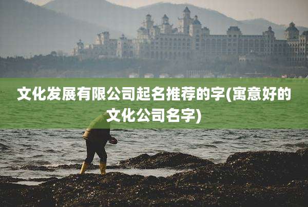 文化发展有限公司起名推荐的字(寓意好的文化公司名字)