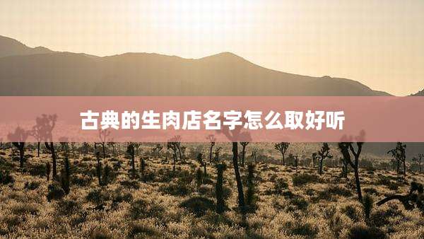 古典的生肉店名字怎么取好听