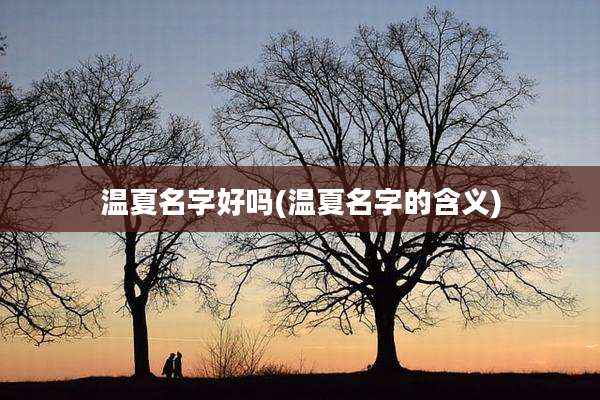 温夏名字好吗(温夏名字的含义)
