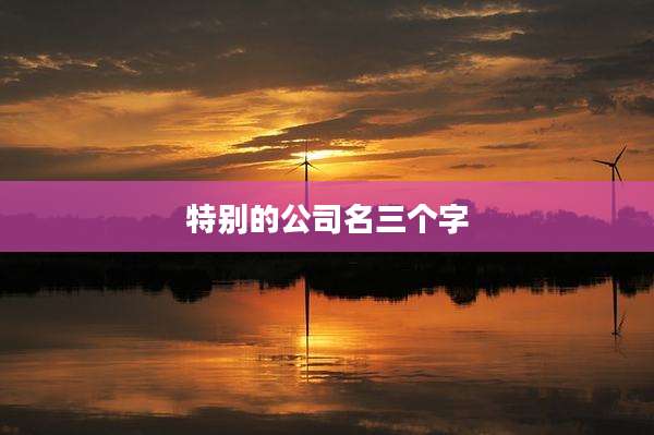 特别的公司名三个字