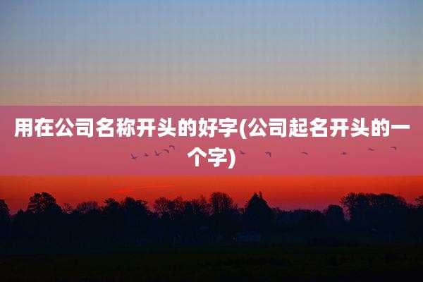 用在公司名称开头的好字(公司起名开头的一个字)
