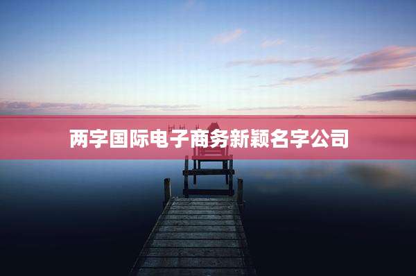 两字国际电子商务新颖名字公司
