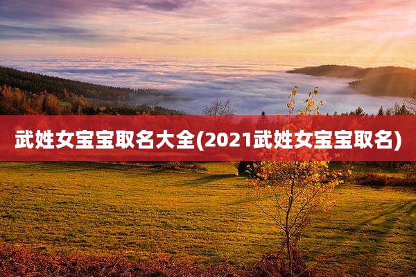 武姓女宝宝取名大全(2021武姓女宝宝取名)