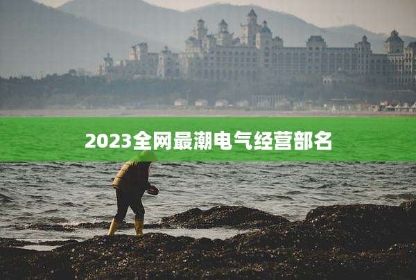 2023全网最潮电气经营部名