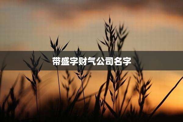 带盛字财气公司名字