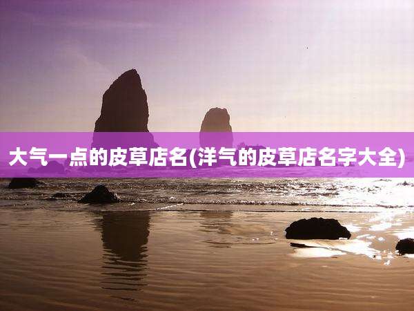 大气一点的皮草店名(洋气的皮草店名字大全)