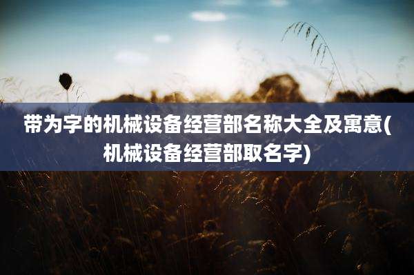 带为字的机械设备经营部名称大全及寓意(机械设备经营部取名字)