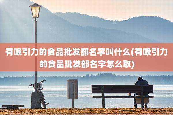 有吸引力的食品批发部名字叫什么(有吸引力的食品批发部名字怎么取)