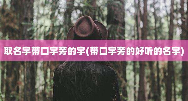 取名字带口字旁的字(带口字旁的好听的名字)