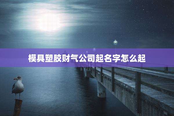 模具塑胶财气公司起名字怎么起