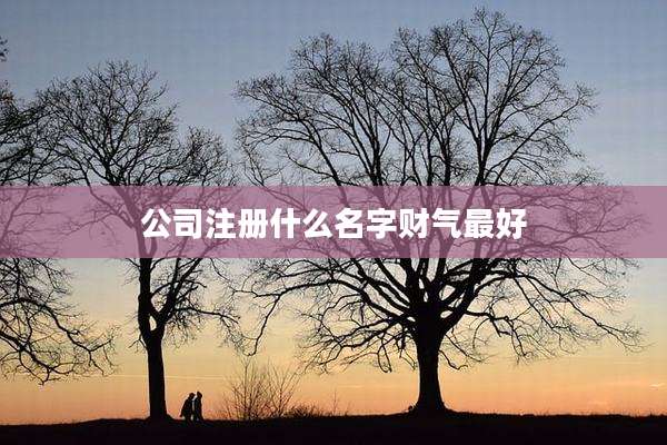 公司注册什么名字财气最好