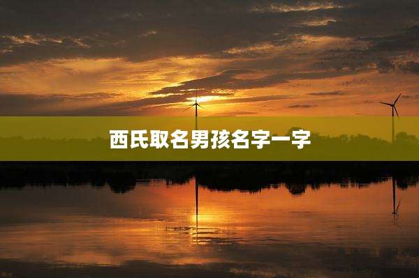 西氏取名男孩名字一字