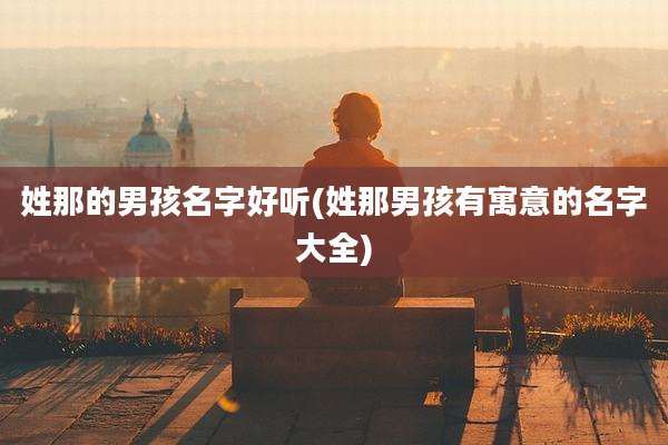 姓那的男孩名字好听(姓那男孩有寓意的名字大全)