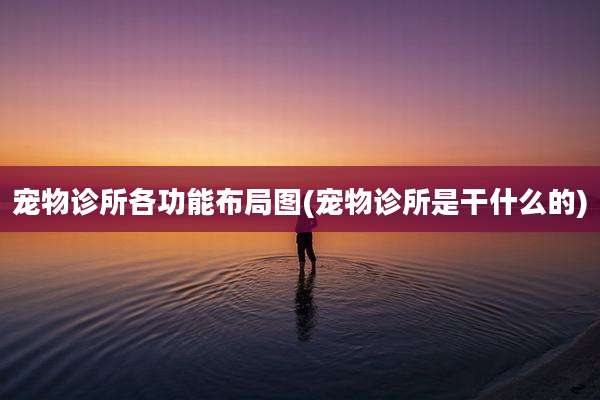 宠物诊所各功能布局图(宠物诊所是干什么的)